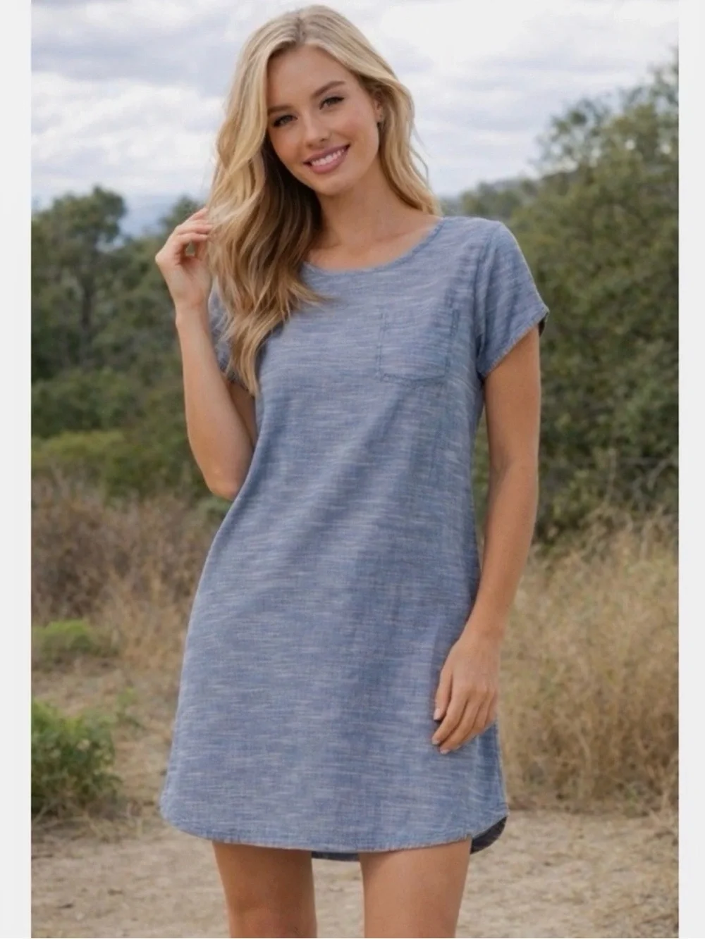 Pact Organic Cotton Chambray  Shift Dress - Picture 15 of 15